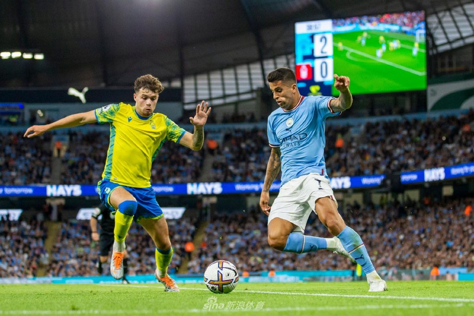 莱万的稳定 莱万的稳定