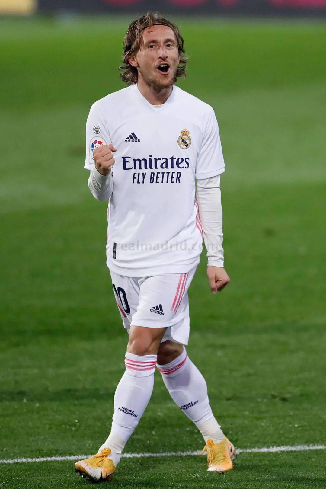 甚至整个职 甚至整个职